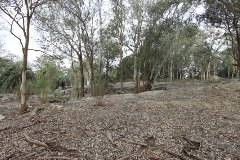 Campo en venta en Maldonado